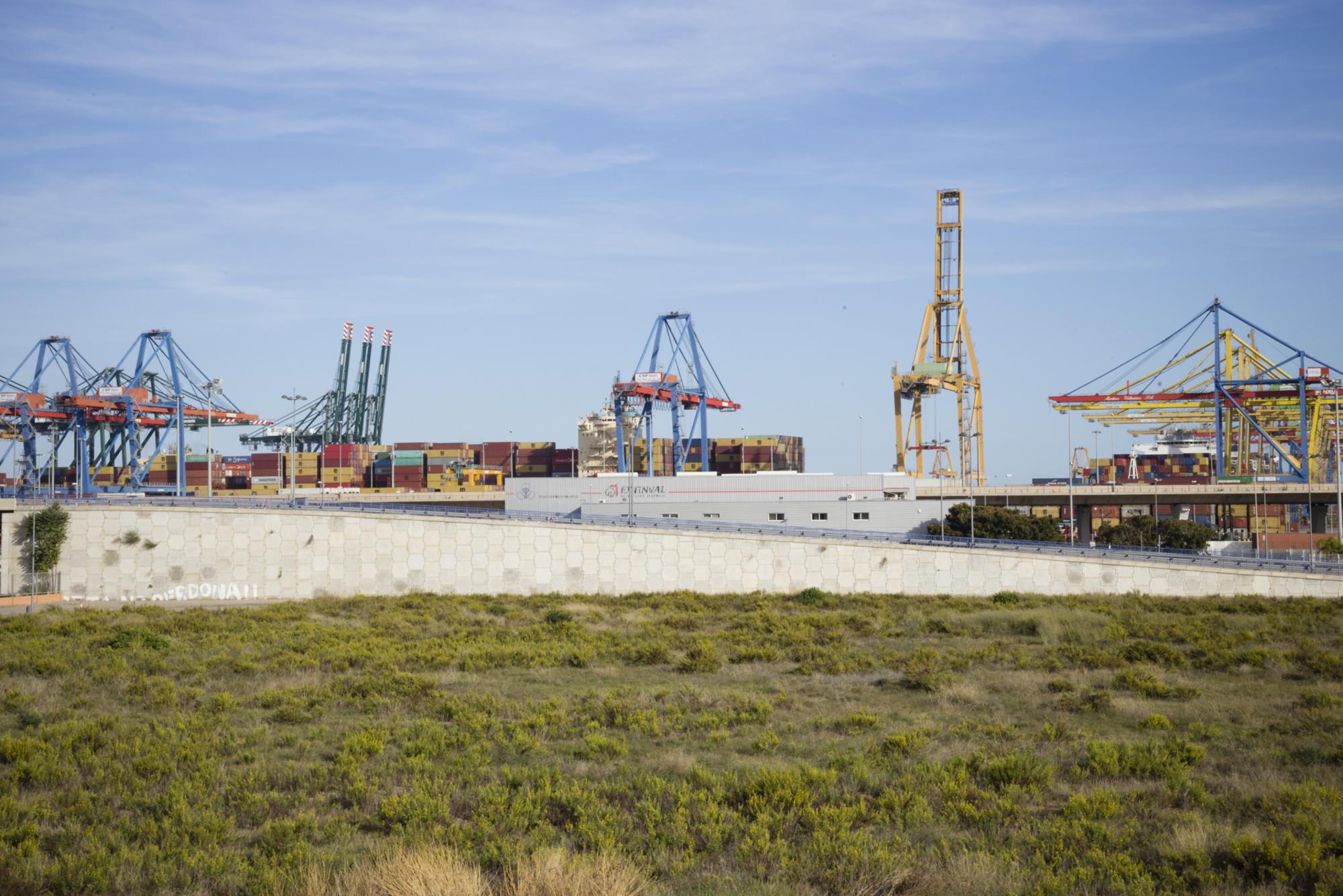 puerto de Valencia 1